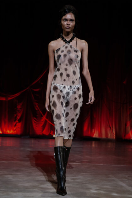 Organza Polka Dress